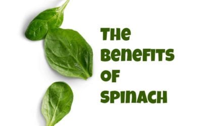 The Benefits of Spinach