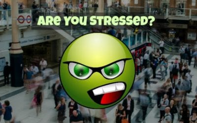 Are You Stressed?