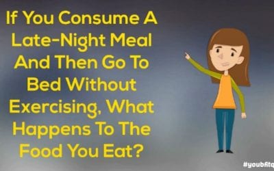 Late-Night Meal Without Exercising, What Happens To The Food You Eat? #youbfitquiz